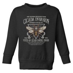 The Cicadas Reunion Cicadas Invasion Summer Scream 2024 Toddler Sweatshirt