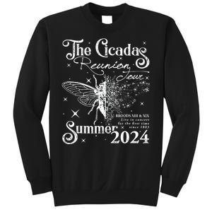 The Cicadas Reunion Summer 2024 Cicada Nature Lover Sweatshirt