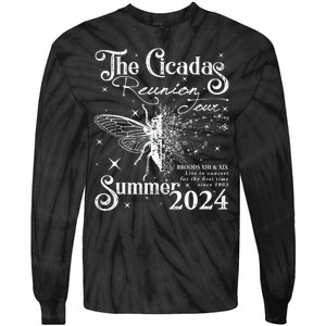 The Cicadas Reunion Summer 2024 Cicada Nature Lover Tie-Dye Long Sleeve Shirt