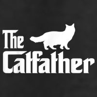 The Catfather Ragdoll Cat Lover Funny Father Cat Dad 15oz Campfire Ceramic Mug