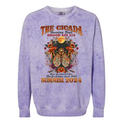 The Cicada Reunion 2024 Cicada Concert Colorblast Crewneck Sweatshirt