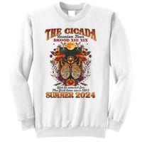 The Cicada Reunion 2024 Cicada Concert Sweatshirt