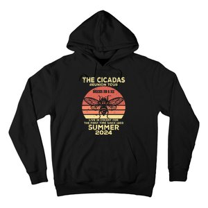 The Cicada Reunion 2024 Cicada Concert Fest Lover Hoodie