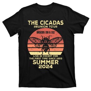 The Cicada Reunion 2024 Cicada Concert Fest Lover T-Shirt