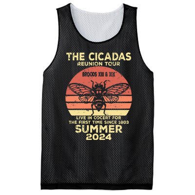 The Cicada Reunion 2024 Cicada Concert Fest Lover Mesh Reversible Basketball Jersey Tank