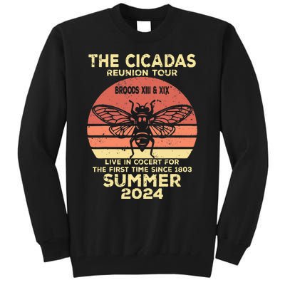 The Cicada Reunion 2024 Cicada Concert Fest Lover Tall Sweatshirt