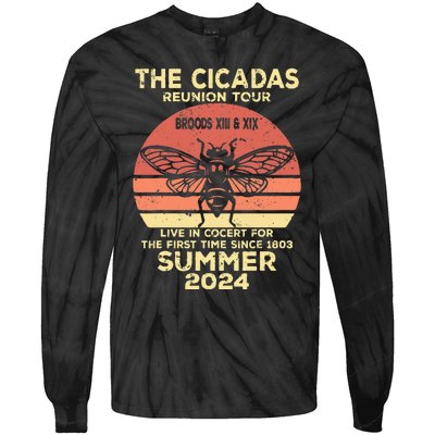 The Cicada Reunion 2024 Cicada Concert Fest Lover Tie-Dye Long Sleeve Shirt