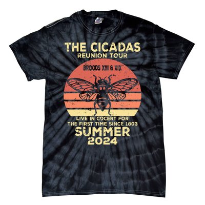 The Cicada Reunion 2024 Cicada Concert Fest Lover Tie-Dye T-Shirt