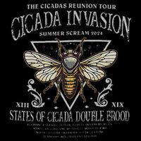 The Cicadas Reunion Cicada Nature Lover Summer 2024 Performance Shirt