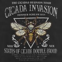 The Cicadas Reunion Cicada Nature Lover Summer 2024 25L Jumbo Tote
