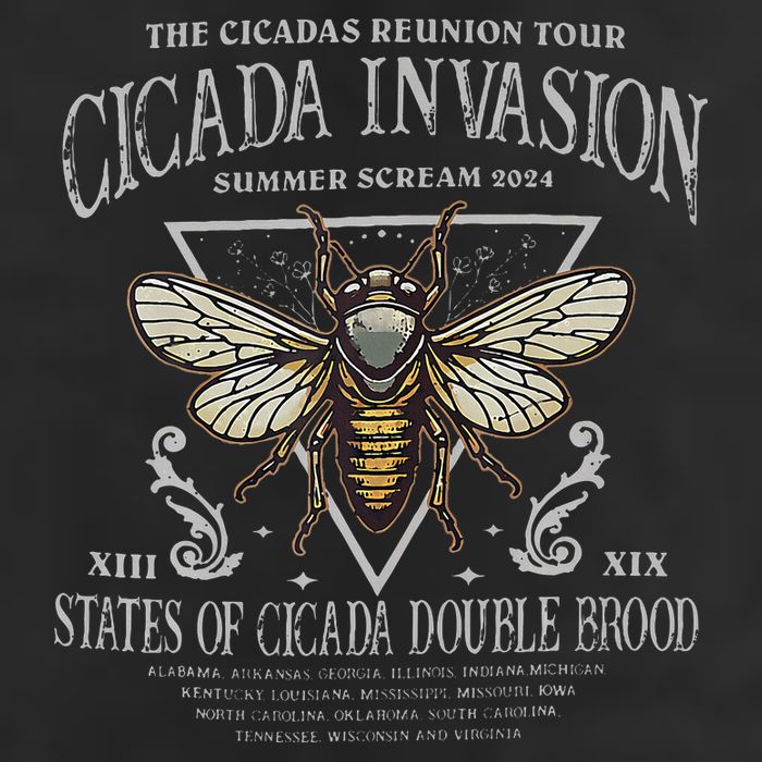 The Cicadas Reunion Cicada Nature Lover Summer 2024 25L Jumbo Tote