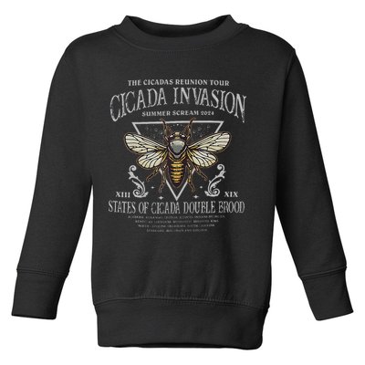 The Cicadas Reunion Cicada Nature Lover Summer 2024 Toddler Sweatshirt