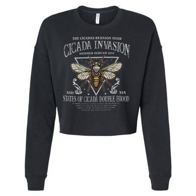 The Cicadas Reunion Cicada Nature Lover Summer 2024 Cropped Pullover Crew