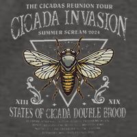 The Cicadas Reunion Cicada Nature Lover Summer 2024 Vector Backpack
