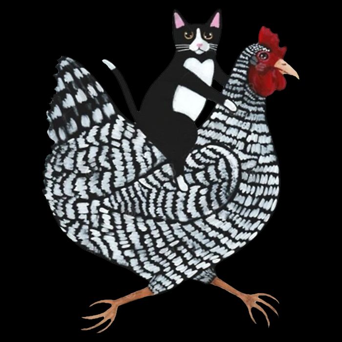 Tuxedo Cat Riding A Chicken Funny 16 in Basic Backpack
