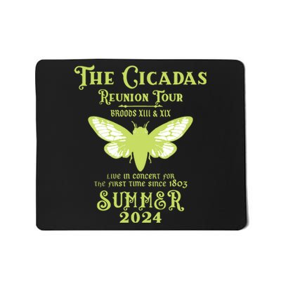 The Cicada Reunion U.S 2024 Cicada Concert Fest Lover Mousepad