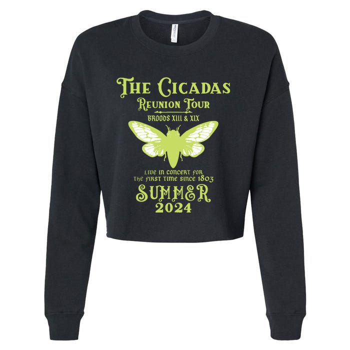 The Cicada Reunion U.S 2024 Cicada Concert Fest Lover Cropped Pullover Crew