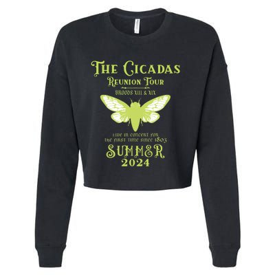 The Cicada Reunion U.S 2024 Cicada Concert Fest Cropped Pullover Crew