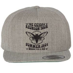 The Cicada Reunion U.S 2024 Concert Fest Lover Groovy Wool Snapback Cap