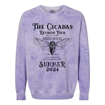 The Cicadas Reunion Summer 2024 Colorblast Crewneck Sweatshirt