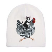Tuxedo Cat Riding Chicken Funny Short Acrylic Beanie