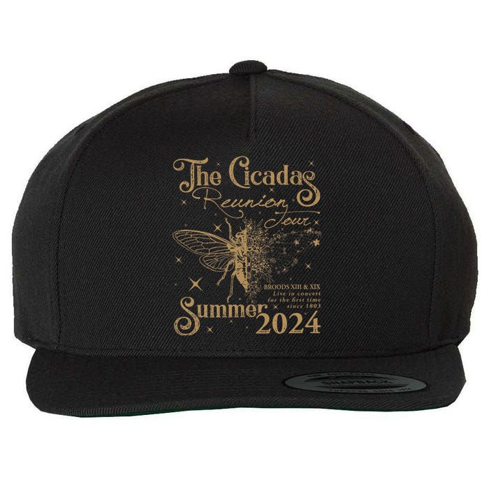 The Cicada Reunion U.S 2024 Cicadas Concert Fest Wool Snapback Cap