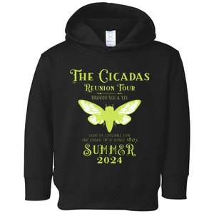 The Cicada Reunion U.S 2024 Cicada Toddler Hoodie