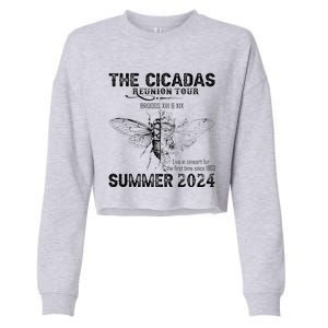 The Cicada Reunion U.S 2024 Broods Xiii And Xix Summer Cropped Pullover Crew