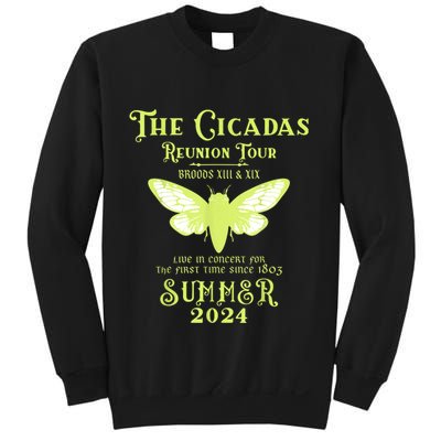 The Cicada Reunion U.S 2024 Cicada Concert Fest Lover Sweatshirt