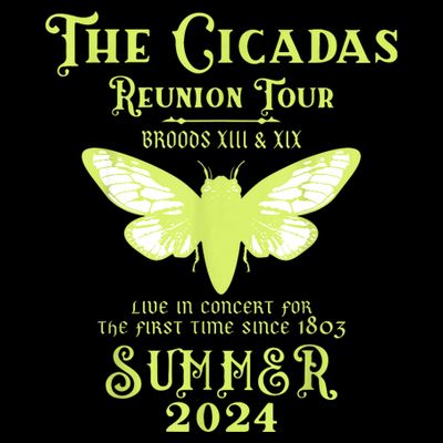 The Cicada Reunion U.S 2024 Cicada Concert Fest Lover T-Shirt