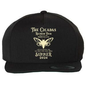 The Cicada Reunion Tours 2024 Cicada Concert Fest Lover Gift Wool Snapback Cap