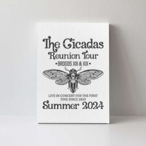 The Cicada Reunion U.S Tours 2024 Cicada Concert Fest Lover Gift Canvas