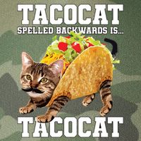 Taco Cat Spelled Backwards Is Tacocat Meme Silly Cat Lover Legacy Tie Dye Trucker Hat