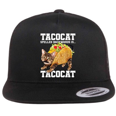 Taco Cat Spelled Backwards Is Tacocat Meme Silly Cat Lover Flatbill Hat