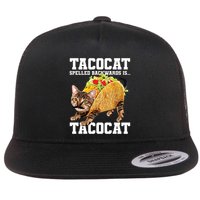 Taco Cat Spelled Backwards Is Tacocat Meme Silly Cat Lover Flat Bill Trucker Hat