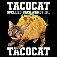 Taco Cat Spelled Backwards Is Tacocat Meme Silly Cat Lover 16 in Basic Backpack