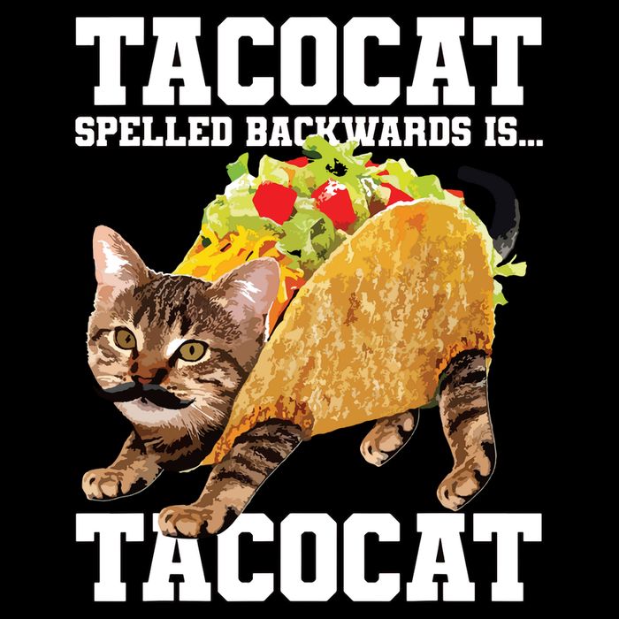 Taco Cat Spelled Backwards Is Tacocat Meme Silly Cat Lover 16 in Basic Backpack