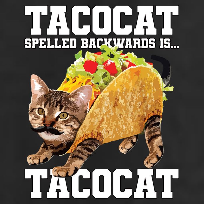 Taco Cat Spelled Backwards Is Tacocat Meme Silly Cat Lover Tumbler