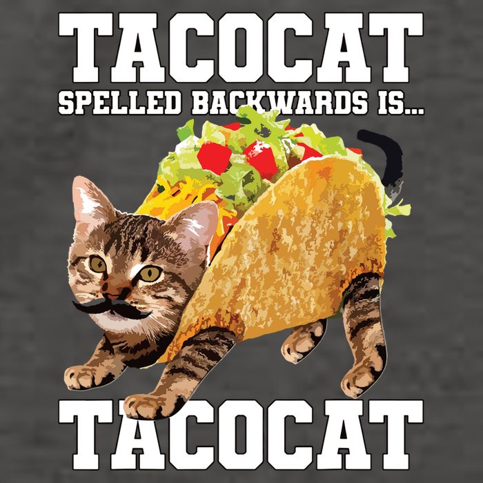 Taco Cat Spelled Backwards Is Tacocat Meme Silly Cat Lover Vector Backpack