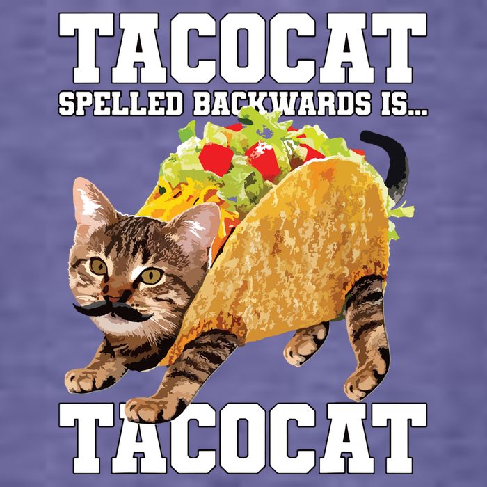 Taco Cat Spelled Backwards Is Tacocat Meme Silly Cat Lover Pom Pom 12in Knit Beanie