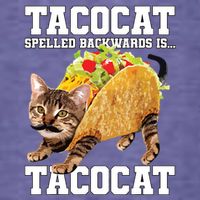 Taco Cat Spelled Backwards Is Tacocat Meme Silly Cat Lover Womens T-Shirt