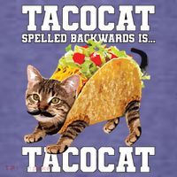 Taco Cat Spelled Backwards Is Tacocat Meme Silly Cat Lover Kids T-Shirt