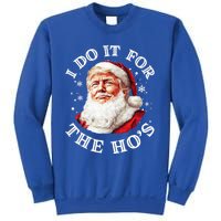 Trump Christmas Santa Claus I Do It For The Hos Cute Xmas Great Gift Sweatshirt