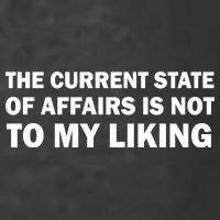 The Current State Of Affairs Is Not To My Liking Premium T-Shirt