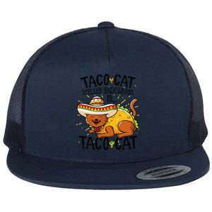 Taco Cat Spelled Backwards Is Taco Cat Funny Gift Flat Bill Trucker Hat