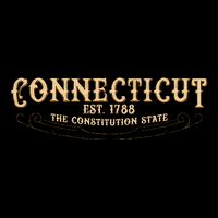 The Constitution State Connecticut Bucket Hat