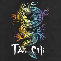 Tai Chi Spiritual Wellness Meditation Qi Gong Instructor Beanie