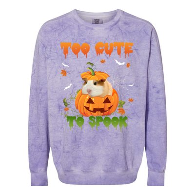 Too Cute To Spook Cute Halloween Pumpkin Hat Guinea Pig Pet Cool Gift Colorblast Crewneck Sweatshirt