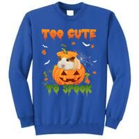 Too Cute To Spook Cute Halloween Pumpkin Hat Guinea Pig Pet Cool Gift Sweatshirt