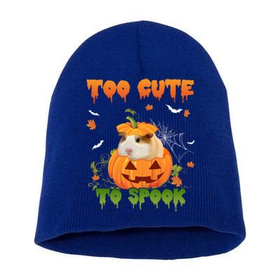 Too Cute To Spook Cute Halloween Pumpkin Hat Guinea Pig Pet Cool Gift Short Acrylic Beanie